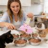 Cat Food Pouch Press 3D Wet Food Extruder view 2