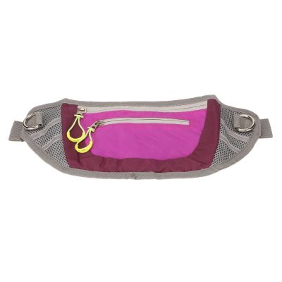 AKLOSIPY Nylon Dog Training Bag with Reflective Strip and Zipper Closure (Purple)