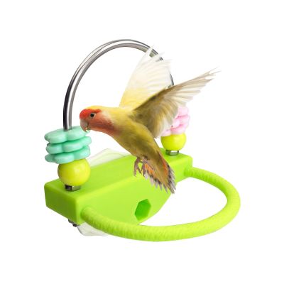 Bird Cage Perch Toy for Climbing and Standing