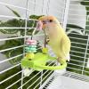 Bird Cage Perch Toy for Climbing and Standing view 3