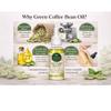 Nativilis Green Coffee Oil for Face & Body, Coffea Arabica, Cold-Pressed, Vegan, 30 ml view 2