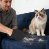 Double-Sided Dog Hair Removal Gloves view 2