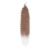 Curly Ocean Wave Crochet Synthetic Hair, 22-Inch Deep Braids, Wet and Wavy Braids for Black Women (T30-60) view 1