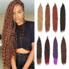 Curly Ocean Wave Crochet Synthetic Hair, 22-Inch Deep Braids, Wet and Wavy Braids for Black Women (T30-60) view 2