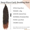 Curly Ocean Wave Crochet Synthetic Hair, 22-Inch Deep Braids, Wet and Wavy Braids for Black Women (T30-60) view 3