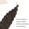 Curly Ocean Wave Crochet Synthetic Hair, 22-Inch Deep Braids, Wet and Wavy Braids for Black Women (T30-60) view 4