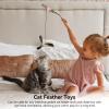 Cat Wand Attachments, 6-Pack Replacement Teaser Feathers view 2