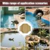 2-in-1 Reptile Water Bowl view 3