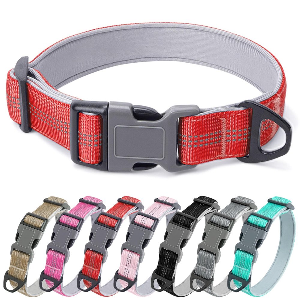 Olcyren Dog Collar, Soft Padded Nylon