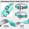 Olcyren Dog Collar view 4