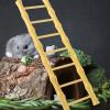 Healifty Yellow Hamster Bird Ladder view 4