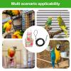 Bird Diaper Harness - Breathable Washable Parrot Clothing view 4