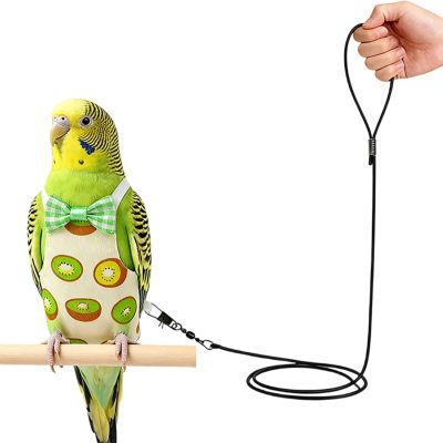 Bird Diaper | Reusable and Washable Pet Bird Clothing | Bird Training Leash