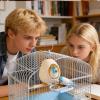 Bird Chewing Toys - Eggshell Interactive view 4