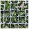 Generic Heavy-Duty Climbing Net for Children - Outdoor Nylon Safety Net for Treehouses, Playgrounds, and Truck Trailers - Durable 12 mm Mesh, 1 x 2 m view 4