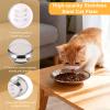 TranRantic 4-Pack Stainless Steel Cat Bowls view 3