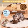 TranRantic 4-Pack Stainless Steel Cat Bowls view 4