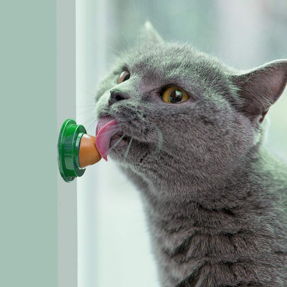 CRGANGZY Cat Mint Ball
