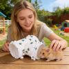 3-Way Enrichment Tunnel for Small Pets view 3