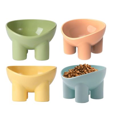 Elevated Non-Slip Angled Feeding Bowls for Cats