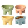 Elevated Non-Slip Angled Feeding Bowls for Cats view 1