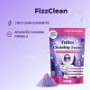2 Pack Fizzclean Toilet Cleaner, Extreme Strength view 2
