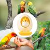 Bird Chew Toy with Edible Shells view 4
