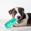 Indestructible 7.3-Inch Squeaky Chew Stick for Dogs view 2