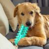 Indestructible 7.3-Inch Squeaky Chew Stick for Dogs view 4