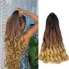 French Curls Braiding Hair C14# Loose Wavy Bouncy Curly Braiding Hair view 1