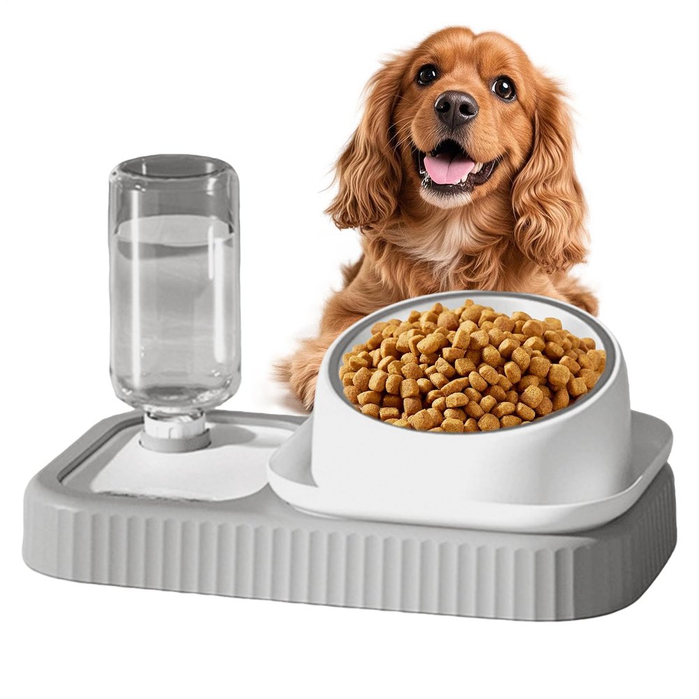 2-in-1 Cat Food and Water Bowl Automatic Feeder for Pets
