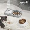 2-in-1 Cat Food and Water Bowl Automatic Feeder for Pets view 2