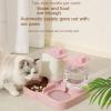 Automatic Cat Feeder & Water Dispenser with Spill-Proof Bowl view 4