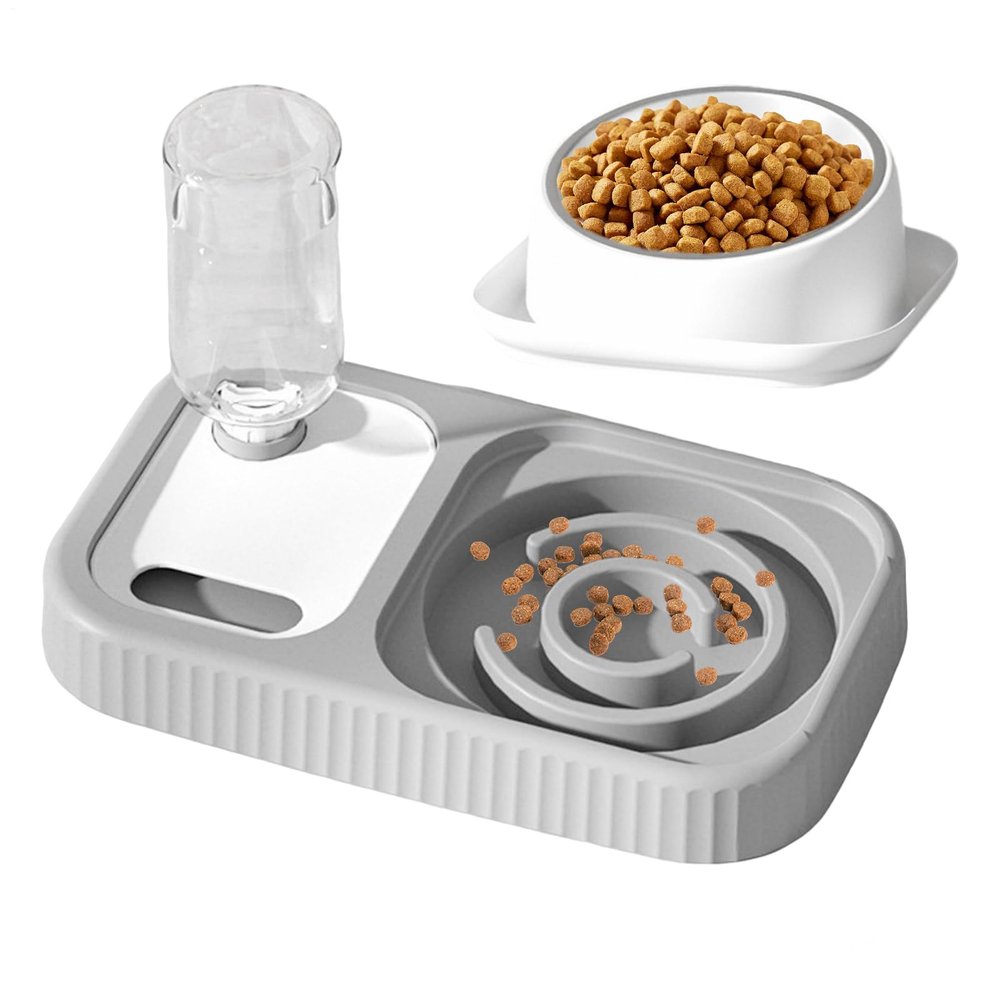 2-in-1 Slow-Feeding Cat Food and Water Bowl