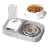 2-in-1 Slow-Feeding Cat Food and Water Bowl view 1