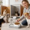 2-in-1 Slow-Feeding Cat Food and Water Bowl view 3