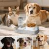 2-in-1 Slow-Feeding Cat Food and Water Bowl view 4