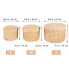 BAZEITFLOW 3-Piece Handwoven Storage Baskets with Lids, Small, Medium, and Large view 2