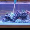 ifundom 30 mL Manual Aquarium Water Changer Siphon, Acrylic Fish Tank Cleaner view 4