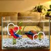 Generic Betta Toy - 2-Piece Suction Cup Aquarium Accessory Set view 2