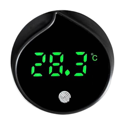 Digital Water Thermometer