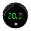 Digital Water Thermometer view 1