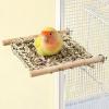 Bird Cage Ladder for Budgies, Play and Chew Perch view 3