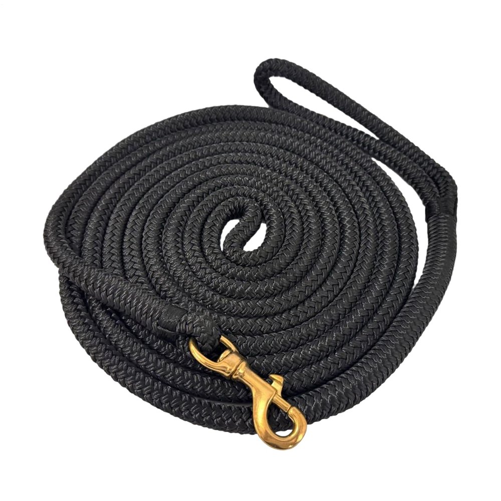 Lunge Line, 450 cm, Nylon Lunge Rope with Quick Halter