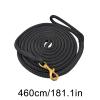 Lunge Line, 450 cm, Nylon Lunge Rope with Quick Halter view 2