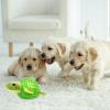 Durable Dog Toy for Aggressive Chewers view 2