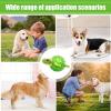 Durable Dog Toy for Aggressive Chewers view 4