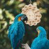 Cork Bird Toy view 3