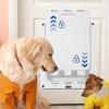 Wall-Mounted Dog Door for Cats and Dogs view 3