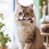 Generic Silvervine Chew Toy for Cats view 3